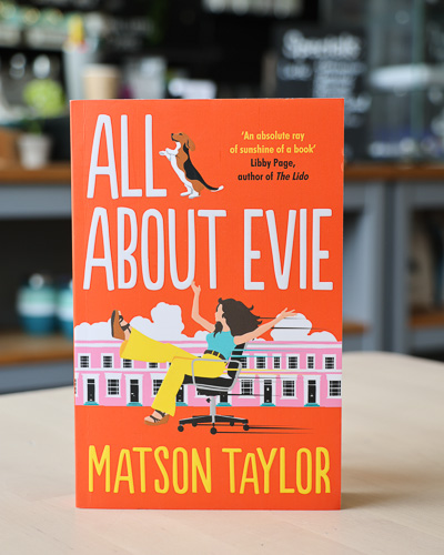 An image of the book cover for All about Evie by Matson Taylor