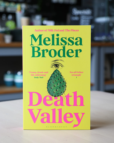 An image of the book cover for Death Valley by Melissa Broder