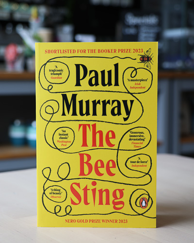 An image of the book cover for The Bee Sting by Paul Murray