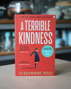 An image of the book cover for A Terrible Kindness by Jo Browning Wroe
