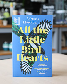 An image of the book cover for All the Little Bird-Hearts by Viktoria Lloyd-Barlow