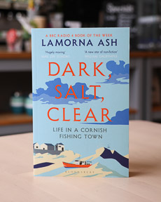 An image of the book cover for Dark, Salt, Clear by Lamorna Ash