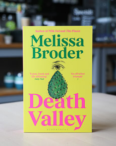An image of the book cover for Death Valley by Melissa Broder