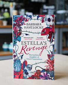 An image of the book cover for Estella's Revenge by Barbara Havelocke