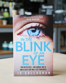 An image of the book cover for In the Blink of an Eye by Jo Callaghan