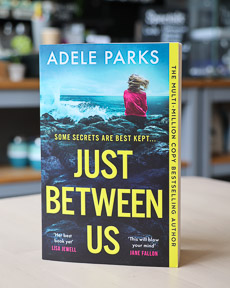 An image of the book cover for Just Between Us by Adele Parks