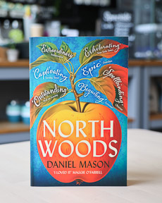 An image of the book cover for North Woods by Daniel Mason