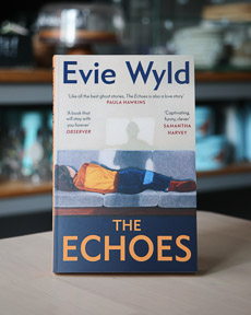 An image of the book cover for The Echoes by Evie Wyld