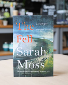 An image of the book cover for The Fell by Sarah Moss