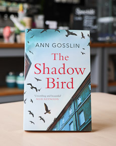An image of the book cover for The Shadow Bird by Ann Gosslin