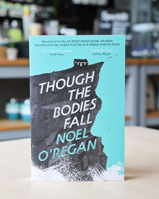 An image of the book cover for Though the Bodies Fall by Noel O'Regan