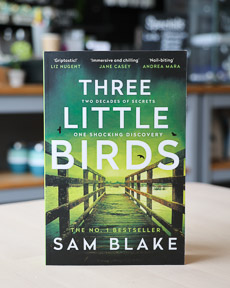 An image of the book cover for Three Little Birds by Sam Blake